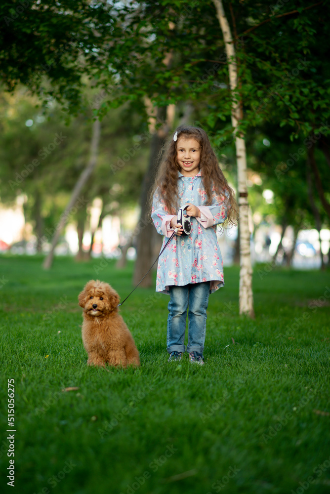 A cute little girl on a walk with toy poodle dog. It's spring outside. The girl is dressed in a blue cloak in a flower and jeans. She has long wavy hair. Childhood. Stroll. A cute little girl on a walk with toy poodle dog. It's spring outside. The girl is dressed in a blue cloak in a flower and jeans. She has long wavy hair. Childhood. Stroll.