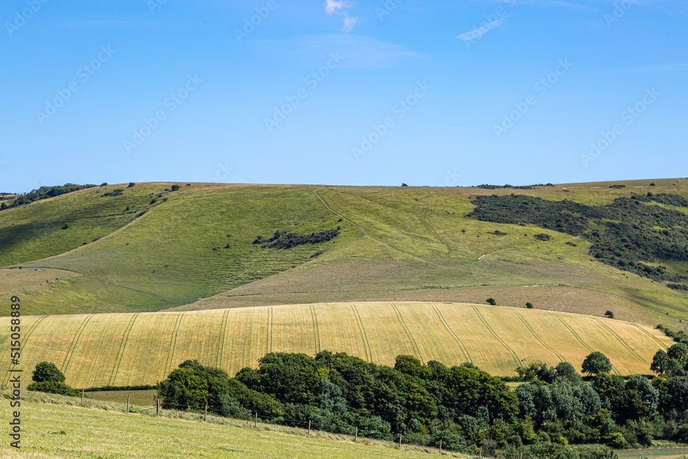 A green South Downs Farm Landscape on a Sunny Summer's Day
