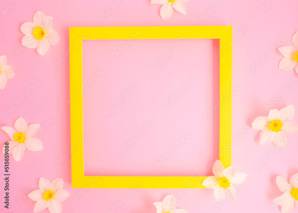 fresh white flowers of daffodils on a pink background with an empty yellow frame. Empty, copywriter. copy space