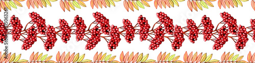Seamless border leaves, berries of the rowan tree. Autumn ornament. Hand drawn watercolor colored pencils illustration.