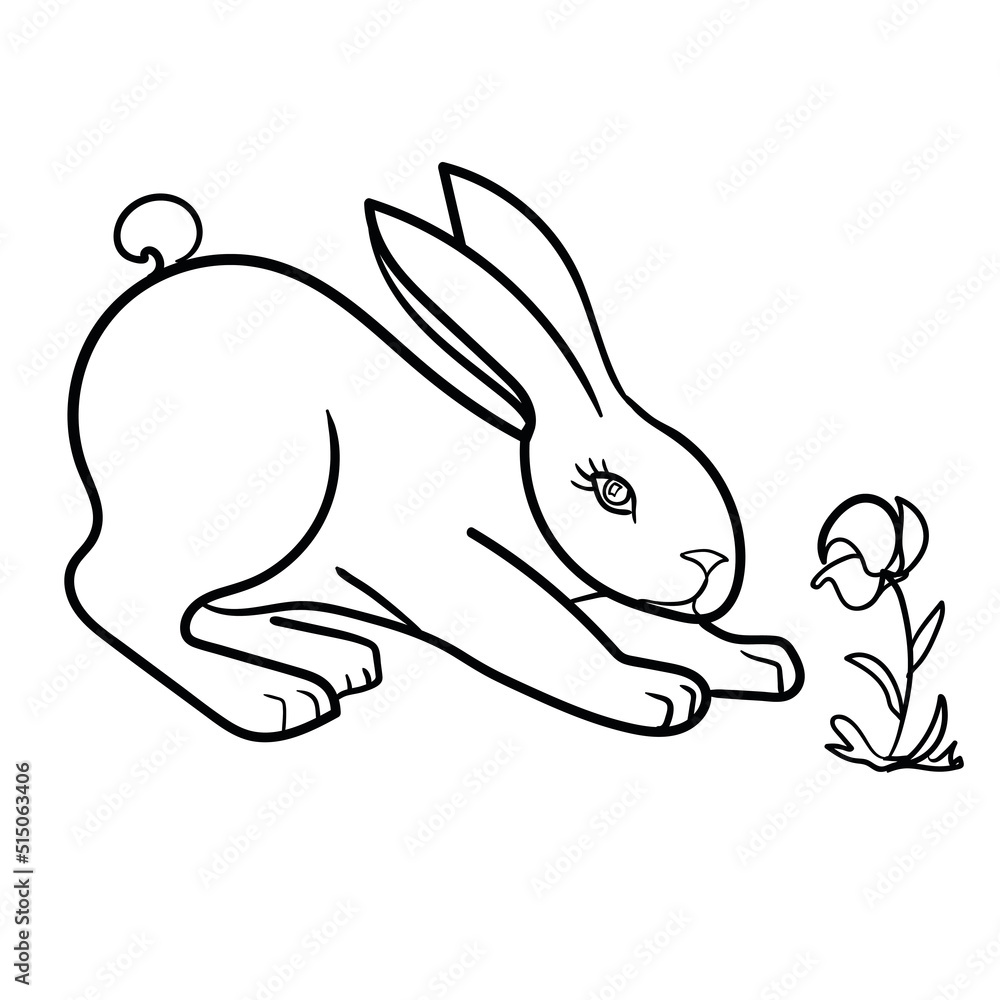 Rabbit Vector On White Background , Use for Web, line , icon or logo, cartoon bunny. hare pose with plants
