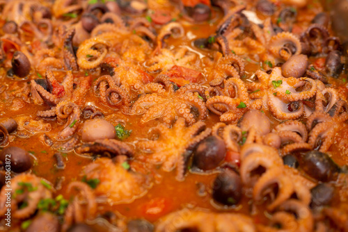 Stewed octopus with tomatoes ,typical Italian recipe  called  moscardini in umido,octopus guazzetto,octopus Luciana style.
 photo