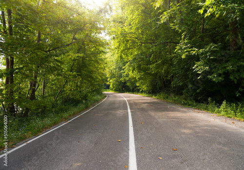 The asphalt road is in green forest. Roadtrip at countryside. Beautiful landscape and view of a mountain road.