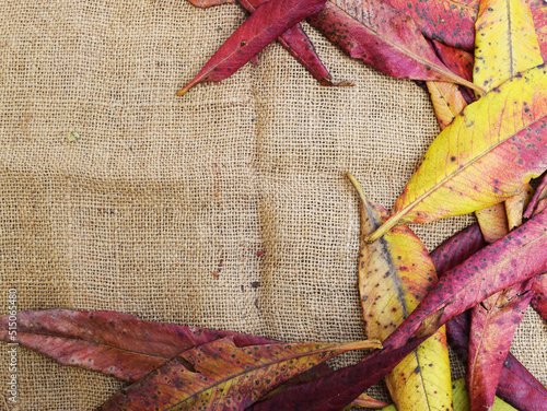 textile hemp background with red dry leaves
