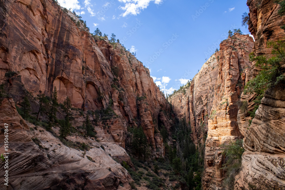 Outdoor Nature Landscape Shot of Zion National Park Mountains and Canyons in Summer in Utah from Canon T7 Rebel 