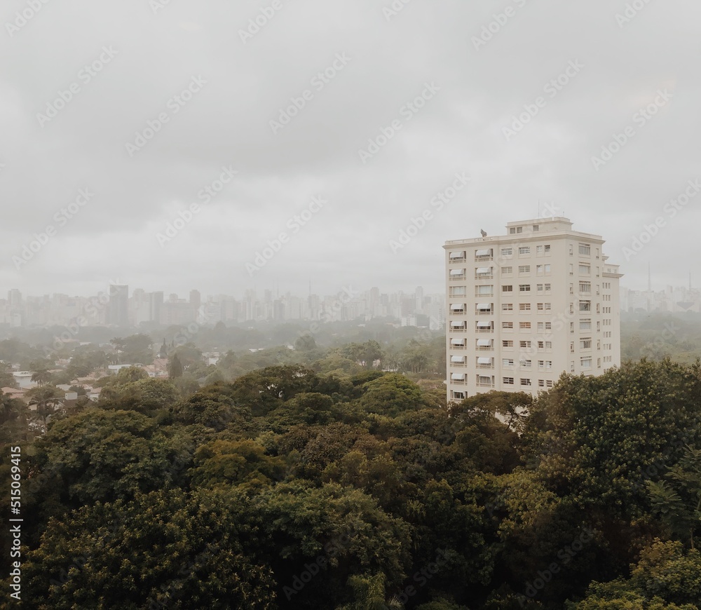 City of São Paulo Brazil