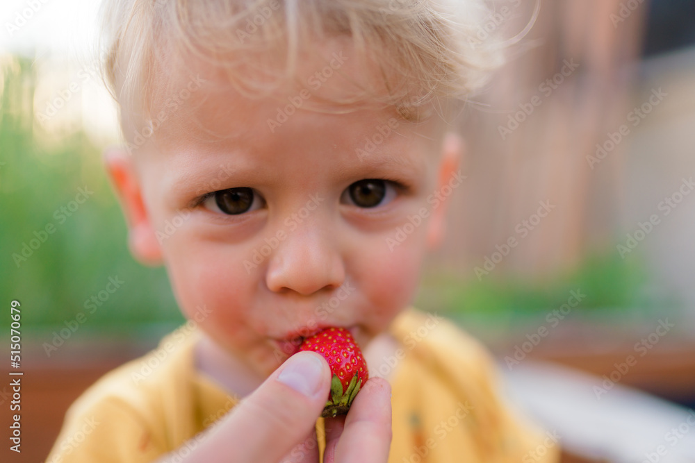 Cute little boy eating strawberries in garden in summer. Cute little boy eating strawberries in garden in summer.