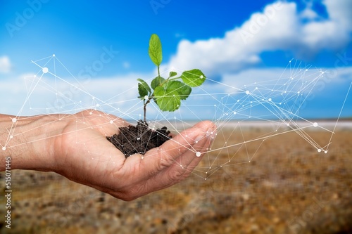 Photography Hand planting green tree, metaphor climate change solution