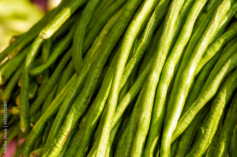 Close up of long beans (Vigna unguiculata subsp. sesquipedalis) Close up of long beans (Vigna unguiculata subsp. sesquipedalis)