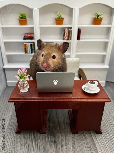 Cute Syrian hamster working on a laptop in an office