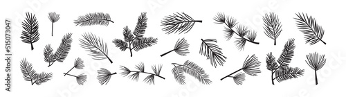 Fotografie, Tablou Christmas spruse and pine, xmas fir branch vector icon, evergreen tree, cedar twig, winter plant, New Year wood, holiday decoration, black silhouettes isolated on white background