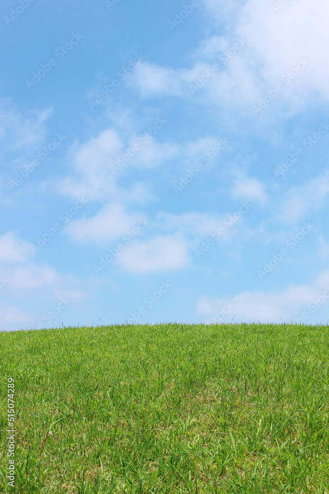 夏_風景