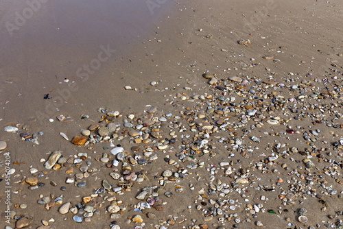 Large stones in a city park on the shores of the Mediterranean Sea