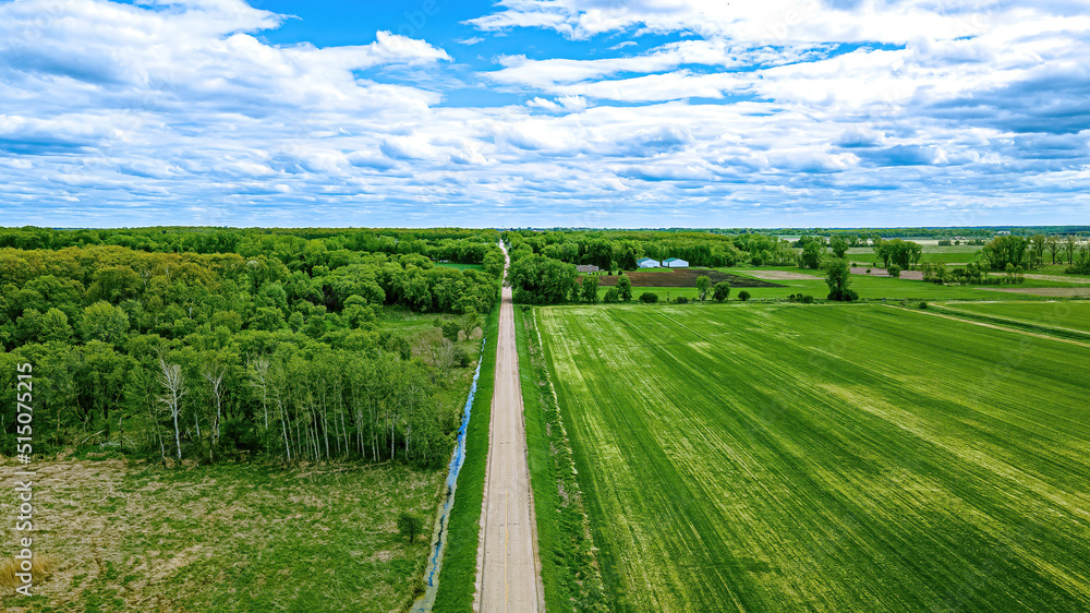 Rural Road Extends to the Horizon in Spring