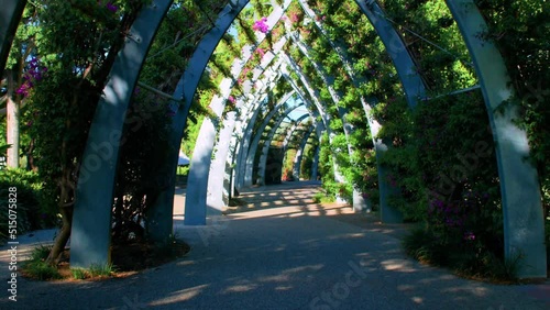 Walking Under The Arbour With Bougainvillea Canopy On South Bank Parklands In Queensland, Australia. - POV photo