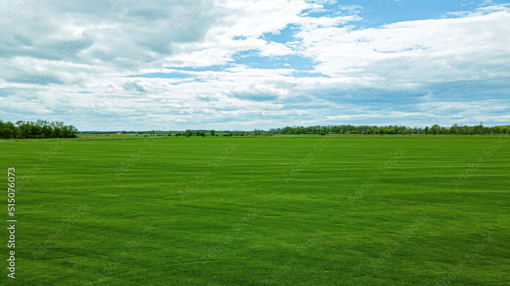Wide Open View of Green Landscape Wide Open View of Green Landscape