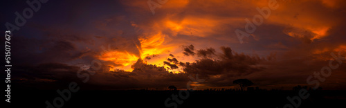 Panorama photo of Landscape sunset with dark clouds.Tree silhouetted against a setting sun.Dark tree on open field dramatic sunrise and Orange sky.Majestic Landscape Dark Clouds sunset Sky. © noon@photo