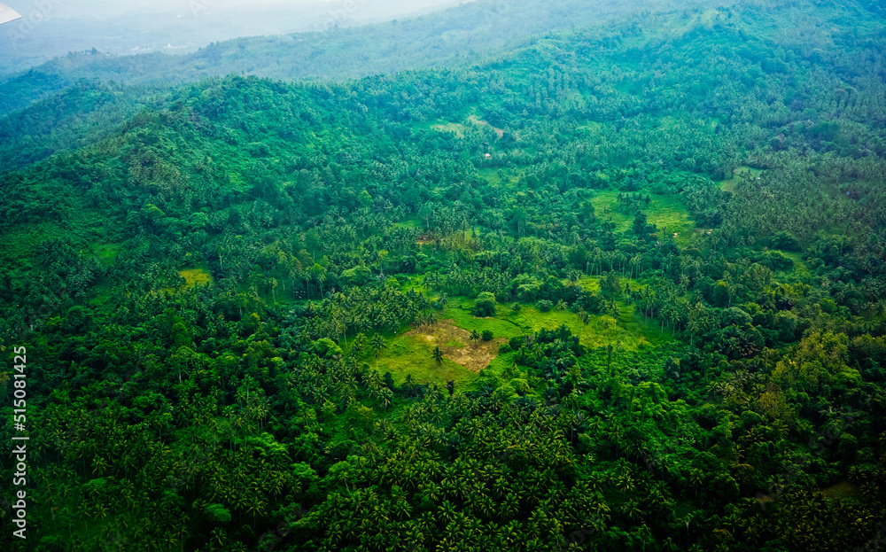 Menado Island is verdant overgrown with coconut trees seen from the sky