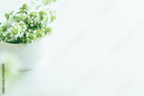 ハーブ　植物　背景　ナチュラル