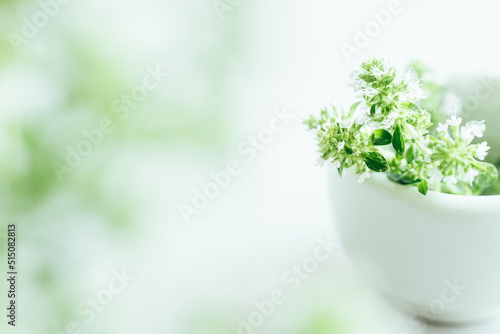 ハーブ　植物　背景　ナチュラル