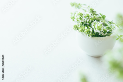 ハーブ　植物　背景　ナチュラル