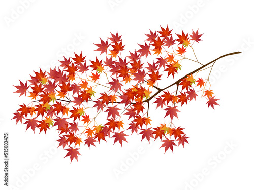 紅葉　もみじ　秋　アイコン
