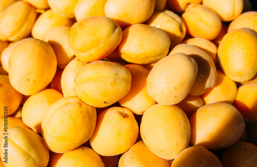 Bright juicy yellow apricots on a farmer's market stall Bright juicy yellow apricots on a farmer's market stall