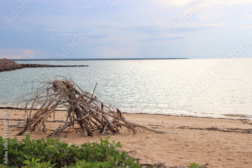Driftwood pile on Cullen Beach  Darwin  Northern Territory  Australia.