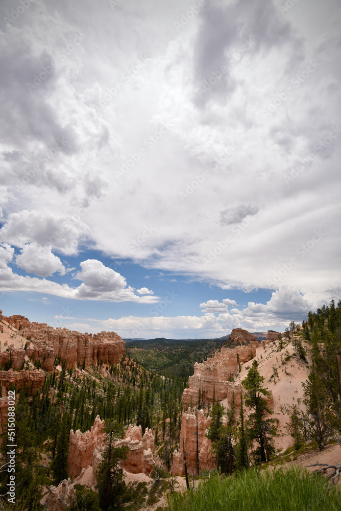 Naklejka premium Bryce Canyon