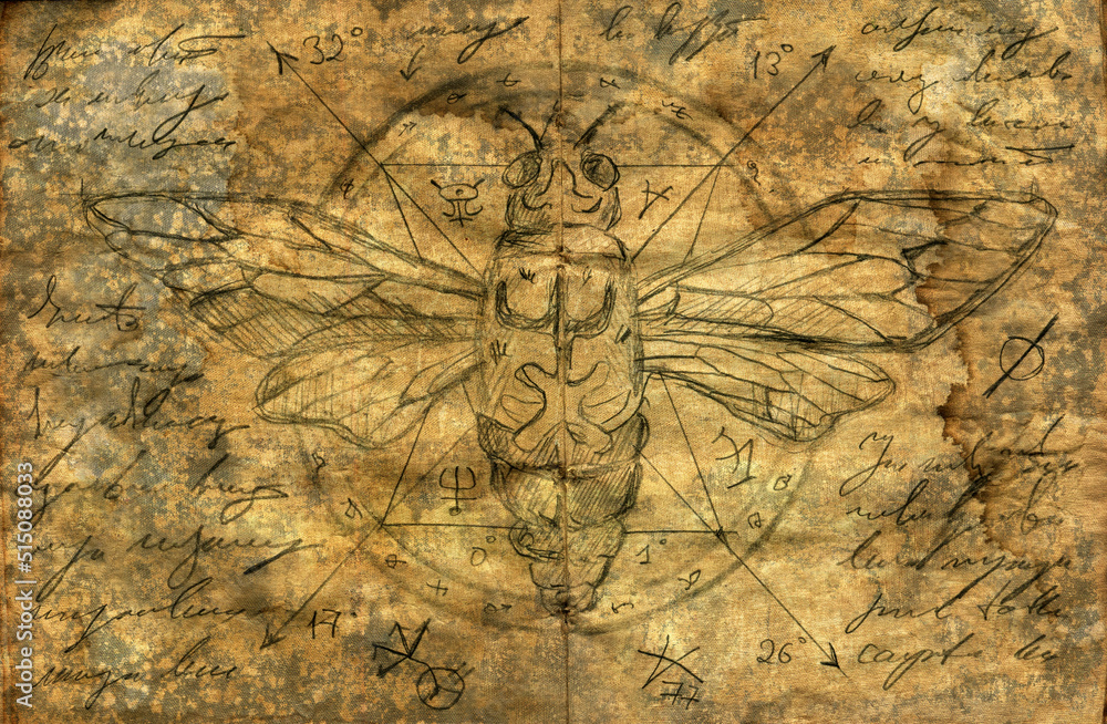 Fototapeta premium Hand drawn Halloween illustration of old page with moth, wicca and mystic symbols from witch magic spell book. Gothic, occult and esoteric background.