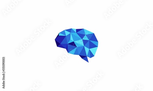 brain polygon
