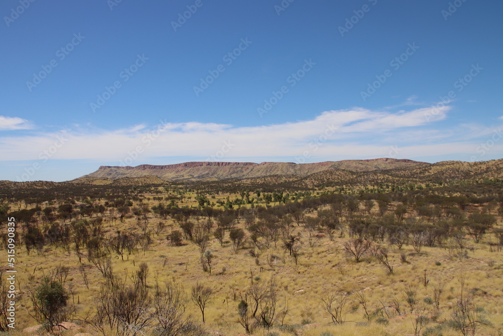 View of the West MacDonnell Ranges from Cassia Hill near Alice Springs, Northern Territory, Australia.