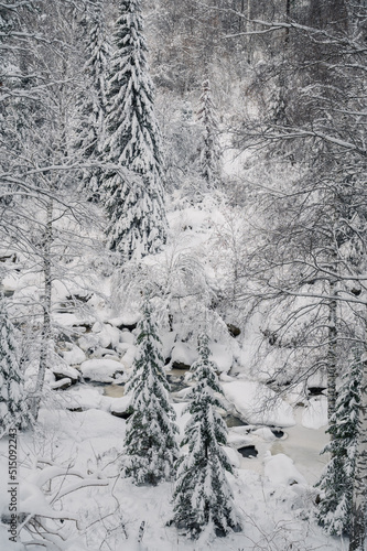 Beauty winter landscape wit...