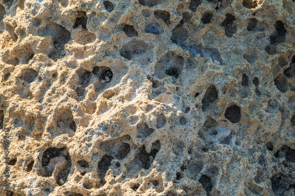 Background texture of limestone stone surface. Shell limestone close-up background. Shell limestone wall texture background. Background texture of limestone stone surface. Shell limestone close-up background. Shell limestone wall texture background.