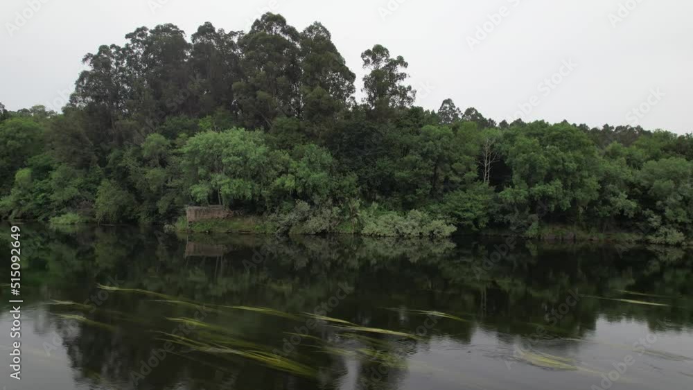 Riverside Forest with Gren Trees. Nature Landscape Riverside Forest with Gren Trees. Nature Landscape