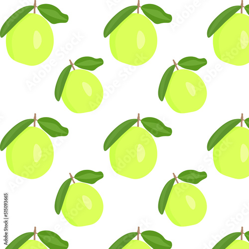 Psidium Guajava vector illustration seamless pattern fresh green guava (tropical fruit) on white background logo symbol design poster flyer clothing design wrapping paper