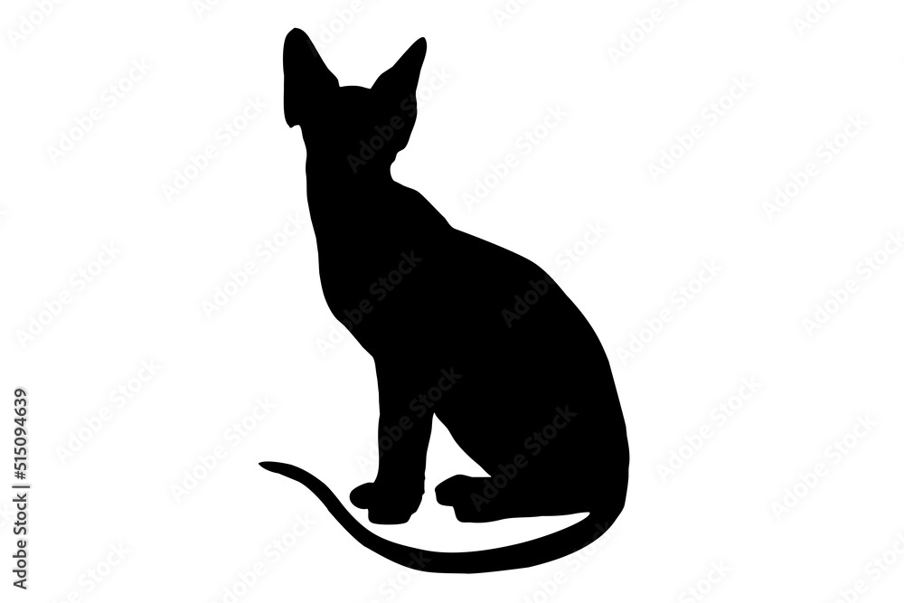 black silhouette of a sphinx cat, on a white background