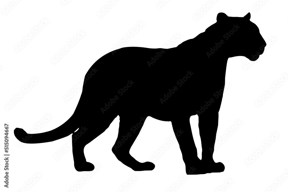 black silhouette of a panther on a white background black silhouette of a panther on a white background