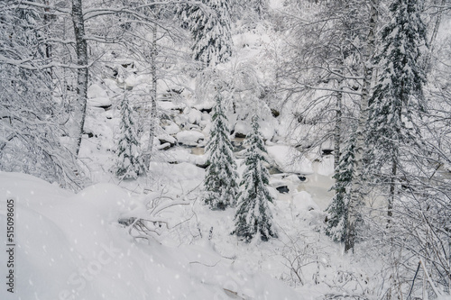 Beauty winter landscape wit...