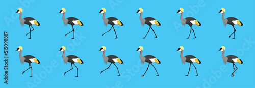 Grey Crowned Crane Walking Motion Animation Sequence Cartoon Vector Illustration

