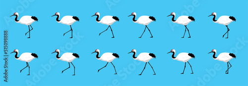 Red Crowned Crane Walking Motion Animation Sequence Cartoon Vector Illustration
