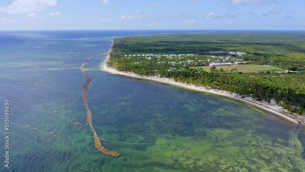 Cabeza de Toro beach and reef, Punta Cana in Dominican Republic. Aerial ...