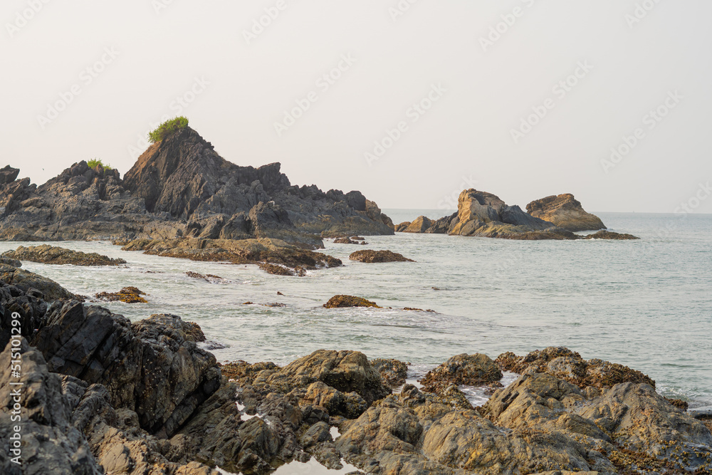 big rocks and grass on the rocks in ocean at beach