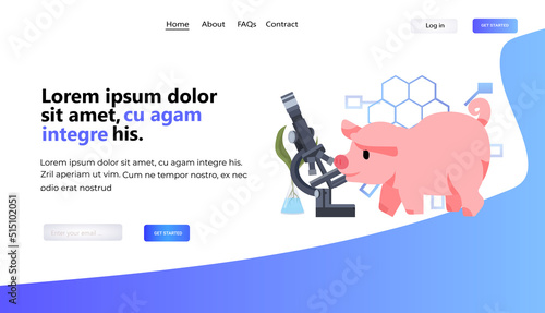 experimental pig near microphone biological genetic engineering research concept horizontal