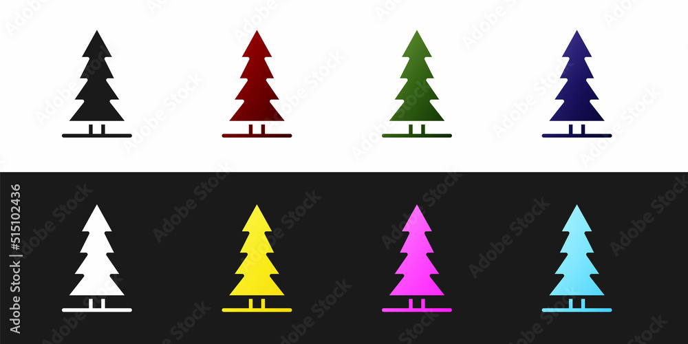 Obraz premium Set Canadian spruce icon isolated on black and white background. Forest spruce. Vector