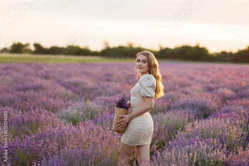 Fototapeta Naklejka Na Ścianę i Meble -  Girl in a lavender field. Woman in a field of lavender flowers at sunset in a white dress. France, Provence.