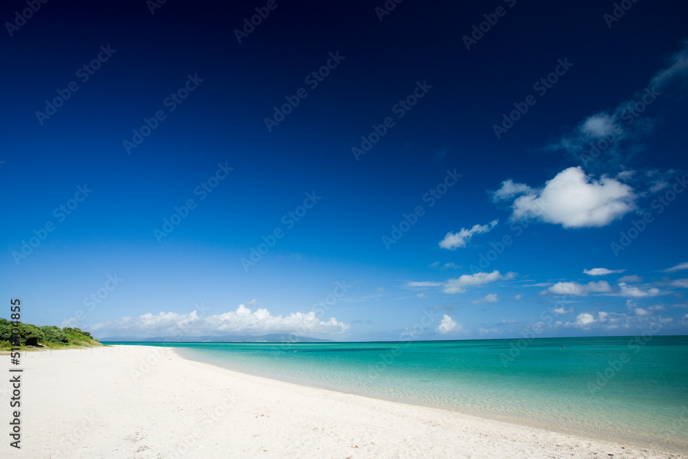 Obraz premium beach and sky