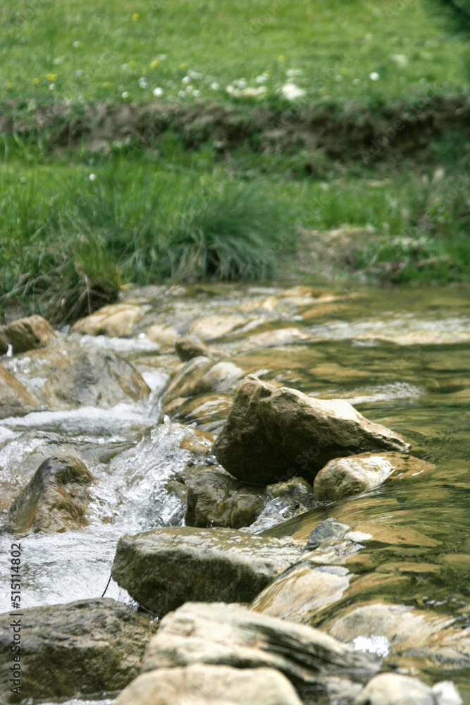mountain stream with green shores mountain stream with green shores