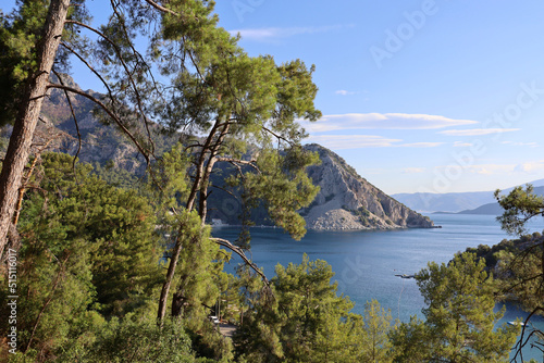 Picturesque view through pine trees to Mediterranean sea with mountain cliff and green islands. Summer coast of Turkey in Marmaris region with mountains and bays