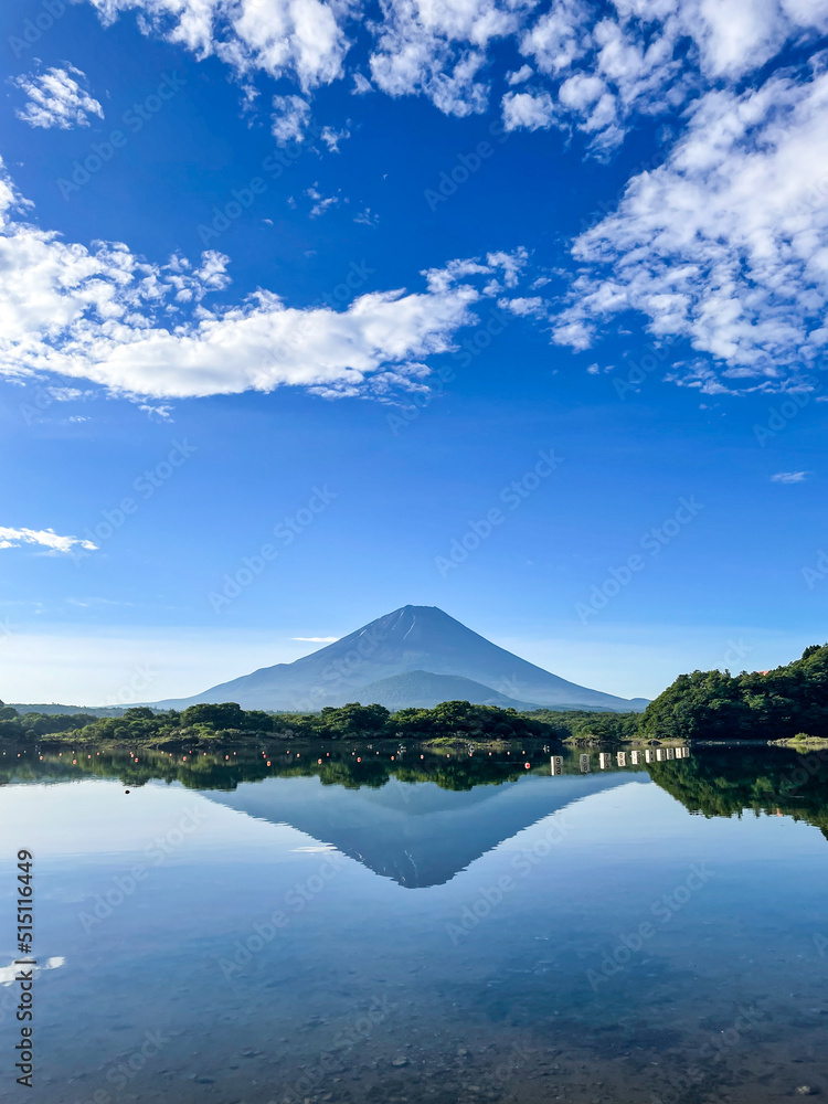 山梨県富士五湖のうちの一つの精進湖と富士山